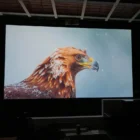 Ambient Light Rejecting Projector Screen Paint by Smarter Surfaces example in an office
