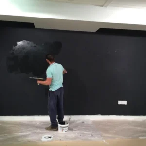 Paint