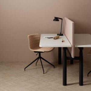 Dezibel Duo on a desk in a workplace