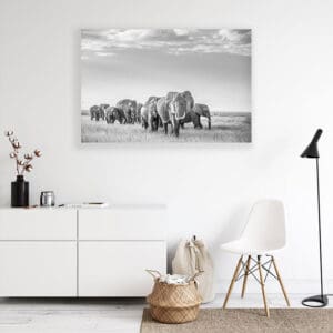 Dezibel Printed Acoustic Panels on the wall with a nature scene