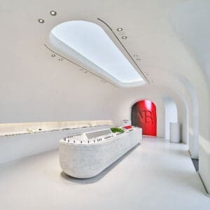 LC Limitless - Light Cognitive Limitless