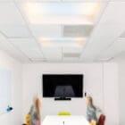 Light Cognitive Skylight shown in the ceiling of a modern office space