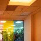 Light Cognitive Skylight example in a retail setting