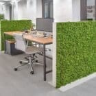 MOSSwall by VERDE PROFILO®