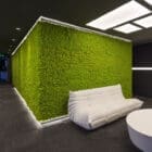 MOSSwall Image2