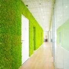 MOSSwall Image9