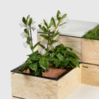 Bene Pixel Box used to store plants