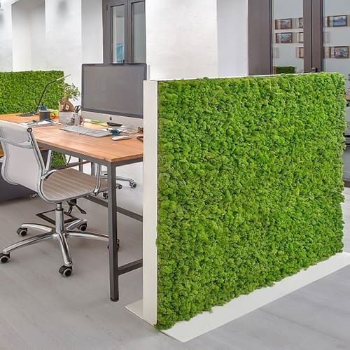 Acoustic and Environmental Solutions