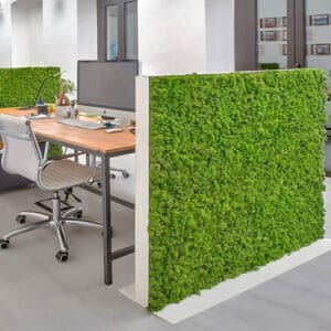 Moss Walls